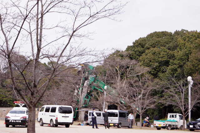 20250312 DSC02304 ラフター.jpg