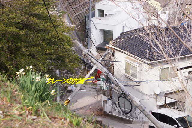 20250312 DSC02310 ラフター転倒.jpg