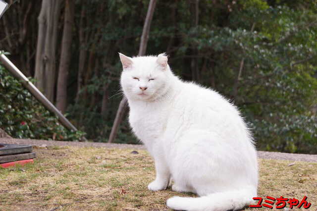 20250316 DSC02693 ユミちゃん.jpg
